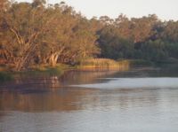 Chowilla Photo 40